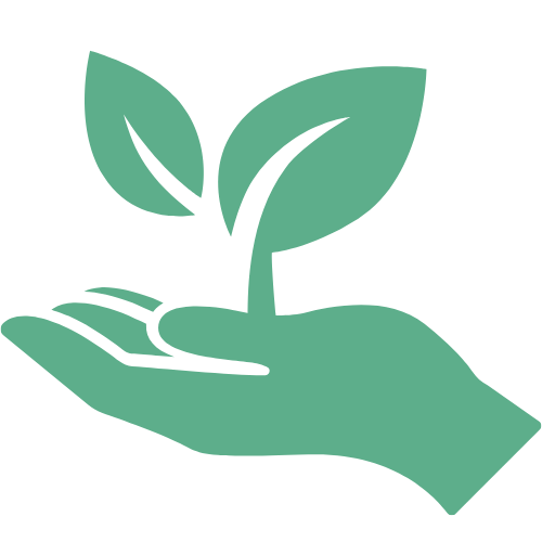 une main verte avec de jeunes pousses vertes dans la paume